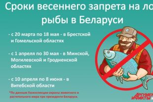 до какого числа запрет на ловлю рыбы в белоруссии до какого числа запрет на ловлю рыбы в белоруссии