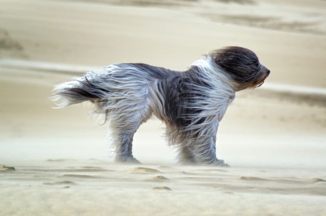  ��������� ������� ��������� �������� �������� ����� 