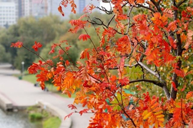  �������� ������ ������ ��������� 