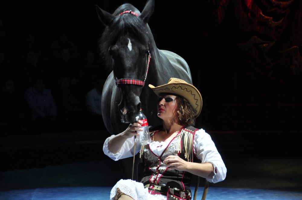 А первыми животными, которых увидит зритель, будет лошадь и пони.  Вместе с артисткой Ольгой Дягелевой они покажут настоящее ковбойское шоу.