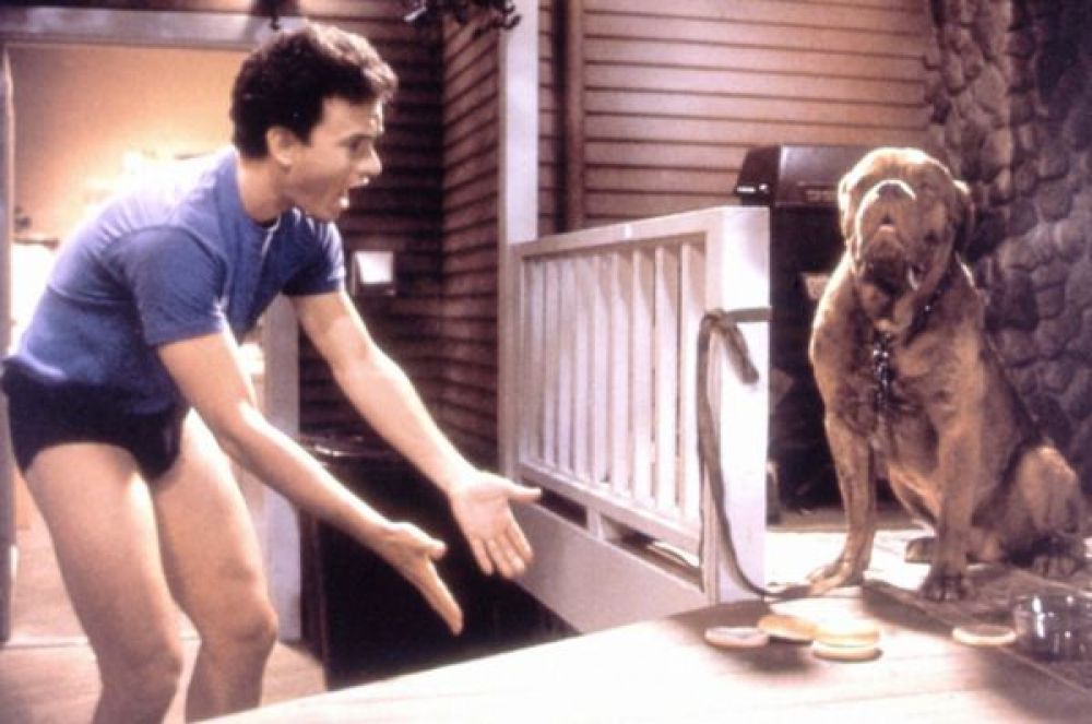 Немалый успех выпал и на долю детективной комедии «Тёрнер и Хуч» (1989), где его партнёром выступил пёс.
