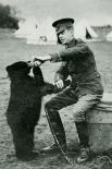 История Винни-Пуха началась с реальной медведицы Виннипег. Будучи медвежонком Виннипег являлась талисманом Канадского армейского ветеринарного корпуса. На фото: Виннипег в 1914 году. 
