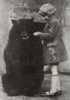 В 1919 году её забрали в Лондонский зоопарк, где пятью годами позже ее увидел сын Алана Милна – Кристофер Робин. Четырёхлетний мальчик подружился с ней и часто навещал. На фото: Виннипег в зоопарке в 1924 году.