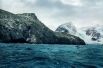 Антарктический лишайник. 5500 лет. Остров Мордвинова, Антарктика.