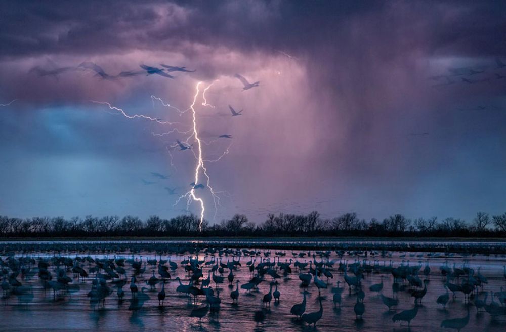 Вечерний шторм освещает небо около реки Вуд в Небраске. Около 413 тысяч журавлей прилетели на отмель реки.