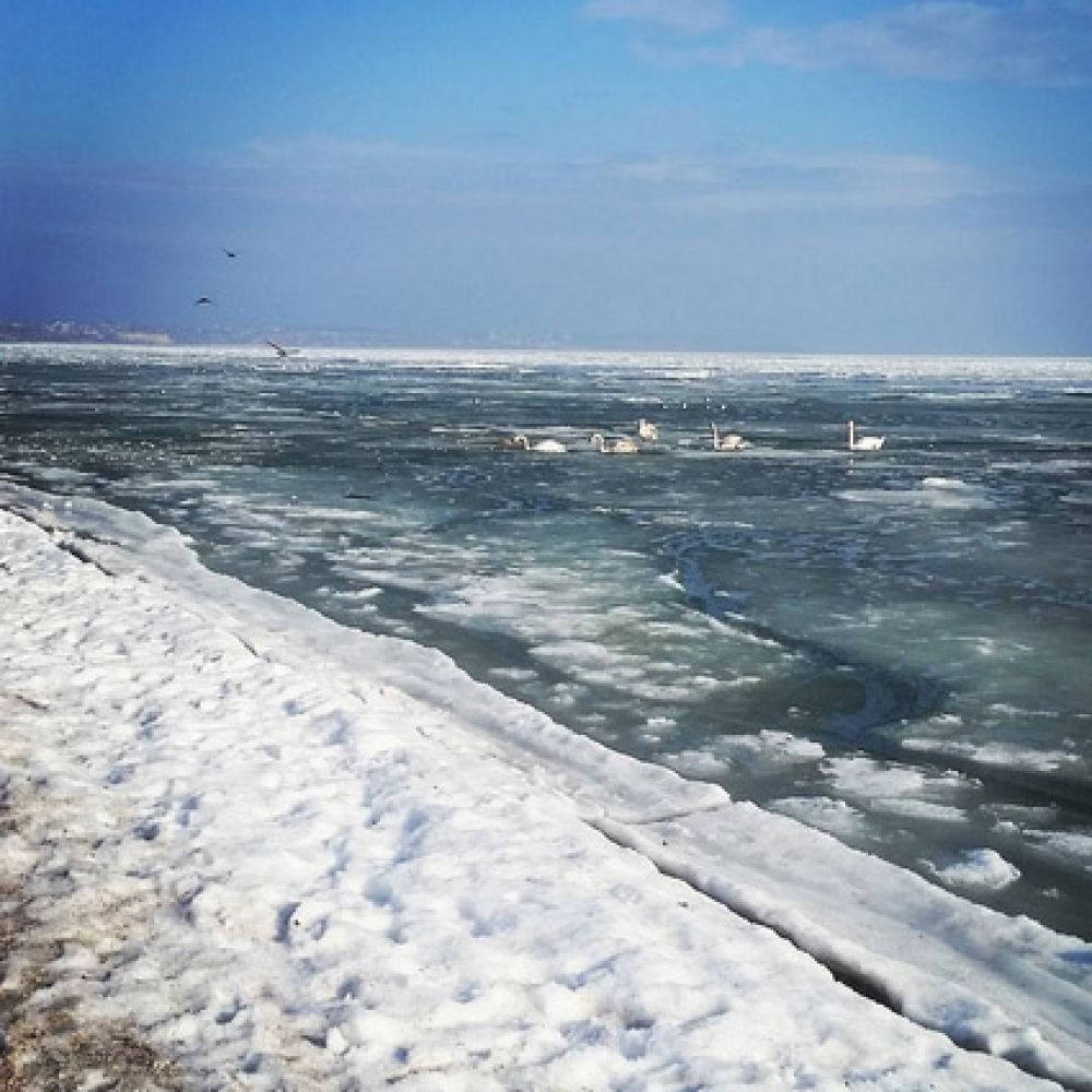 Море зимой замерзает