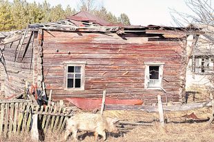 Заброшенная деревня Тульговичи в 30-километровой зоне отчуждения, в 370 км к юго-востоку от Минска.