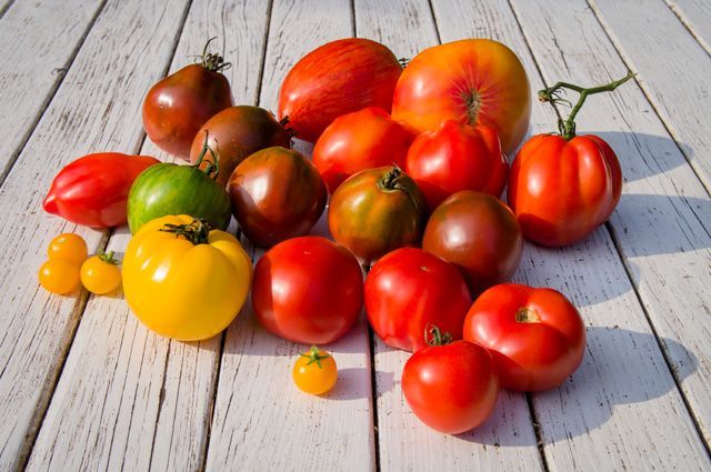 Что использовать для подкормки помидоров?