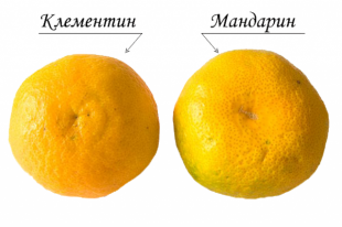 Клементин имеет насыщенный оранжевый цвет и красноватый оттенок.