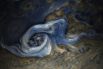 Буря в северном полушарии Юпитера. Снимок сделан космическим аппаратом «Юнона».