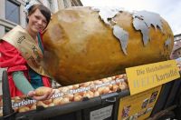 В Беларуси «народный» овощ пока не увековечен. А вот в немецком Эрфурте есть памятник «Всемирному картофелю». Потому что он объединяет весь мир.