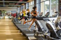 Вид упражнений в спортзале нужно выбирать исходя из своих повседневных нагрузок на работе.