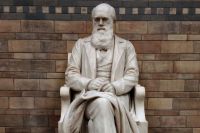 Статуя Чарльза Дарвина в Музее естествознания в Лондоне.