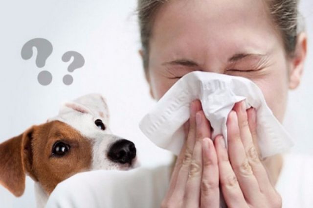 Аллергия и COVID-19. Врач развенчала десять популярных мифов