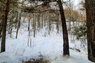 Фото с места происшествия.