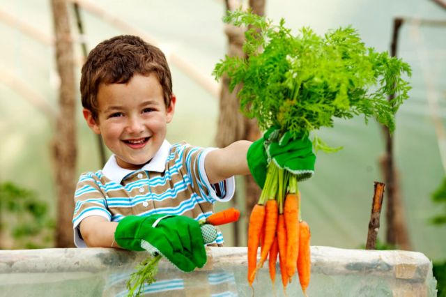 Особенно опасна «химия» в овощах для маленьких детей и будущих мам. Поэтому важно правильно обработать продукты перед употреблением в пищу.  