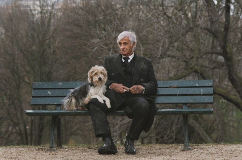 «Человек и его собака» (2008)