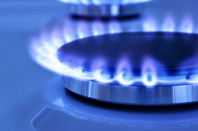 Правила пользования газом в быту обновлены в Беларуси | Общество | АиФ  Аргументы и факты в Беларуси