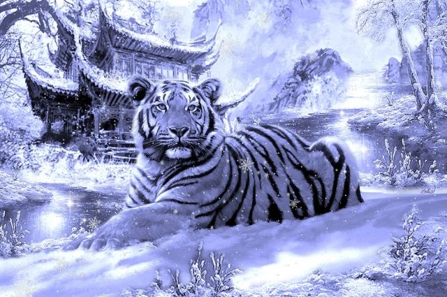 Хозяина 2022 года Тигра называют Водяным – Черным или Голубым.