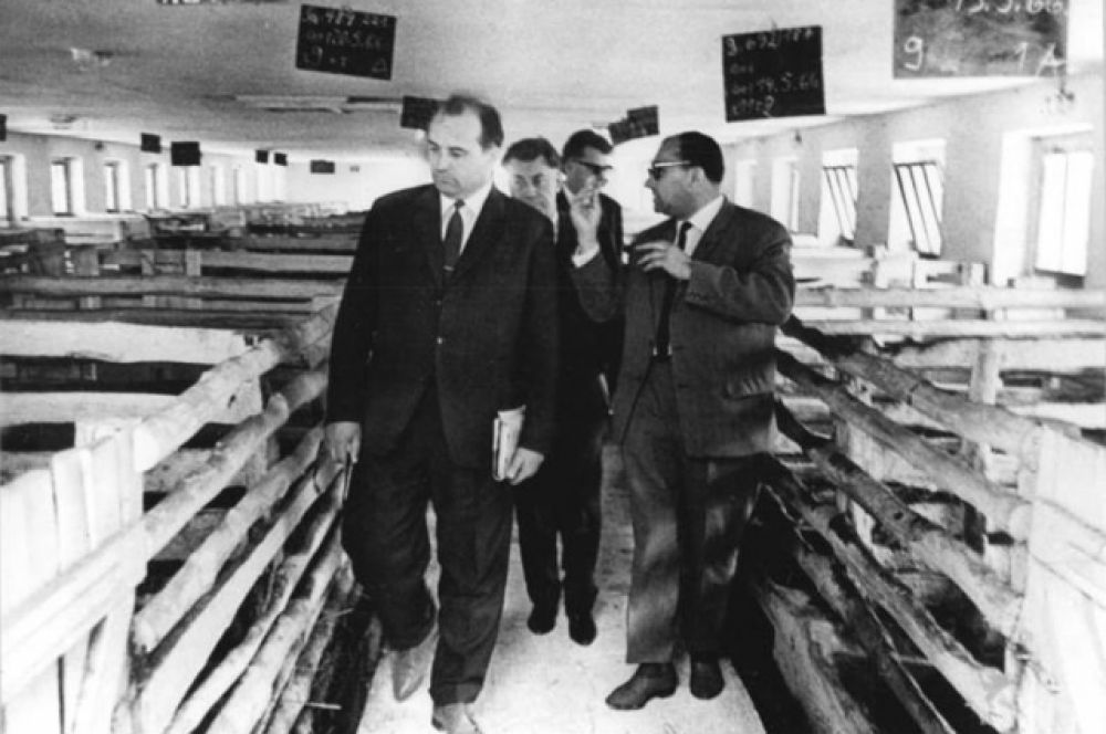 Горбачев посещает свиноводческое хозяйство в ГДР, 1966 г.
