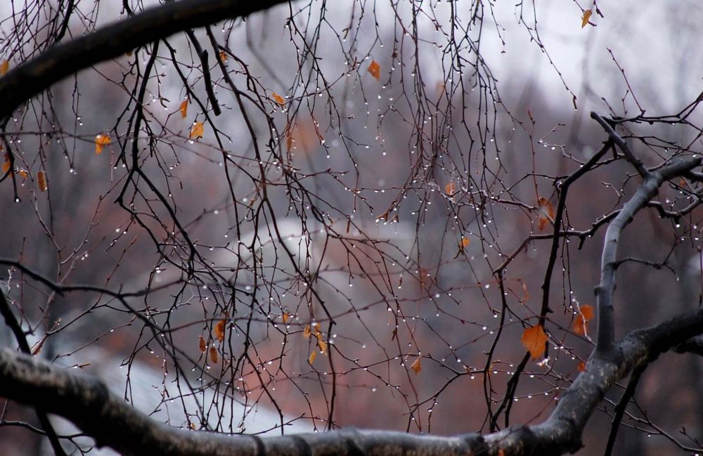 По погоде 29 ноября, в Матвеев день, можно было судить о том, какой будет зима. Если на улице холодно и дует сильный ветер — жди морозов. Погода стоит ясная и безоблачная — это признак скорого похолодания.