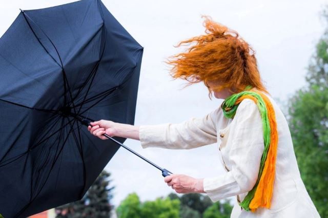 Gusty wind and up to +26°С in the southeast is expected in Belarus on June 2 |  Weather