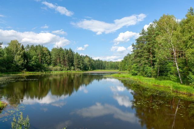 Hydrologists predict a drop in water levels on the rivers of Belarus |  Weather