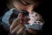 Ветеринар, баюкающий четырехмесячного сиротку-вомбата по кличке Мод, принес Дугласу Гимси победу в номинации «Человек и Природа».