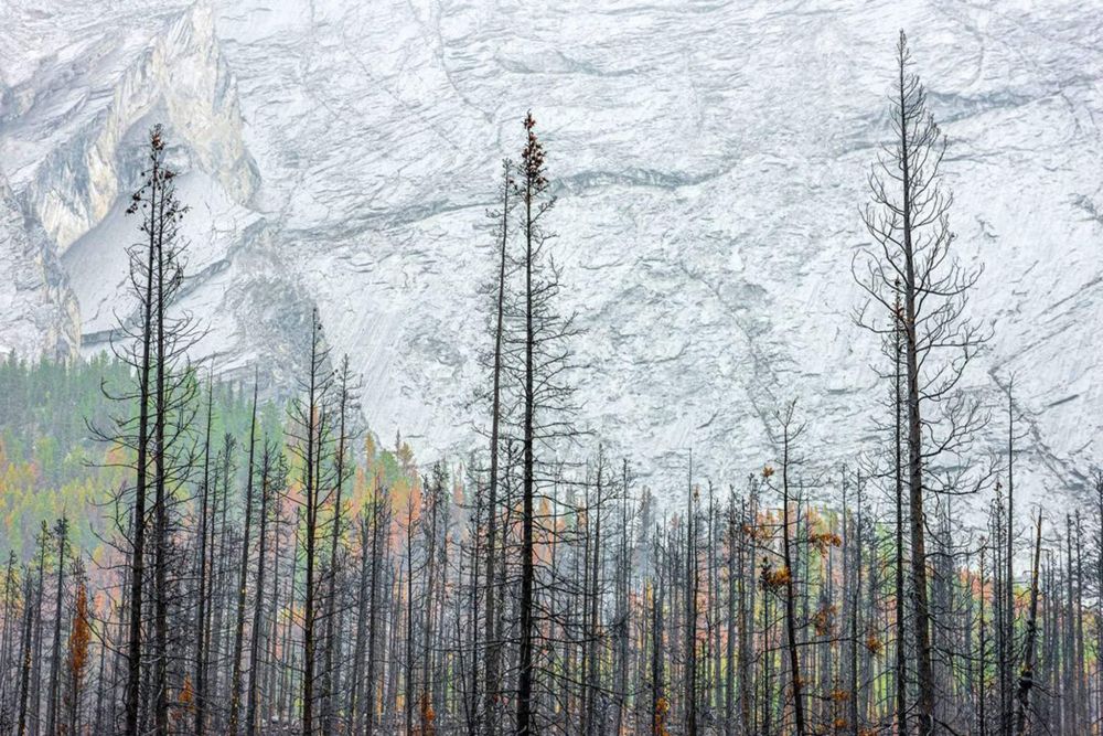 В категории «Пейзаж» лучшим признано фото, сделанное во время лесного пожара в канадском национальном парке Джаспер.