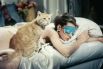 Кот Оранджи снимался в американском кино в 1950-1960-х годах. Наиболее известным из фильмов с его участием стал «Завтрак у Тиффани» (1961). Кстати, Оранджи - единственный кот, награждённый двумя премиями «Пэтси» (американский аналог «Оскара» для животных).