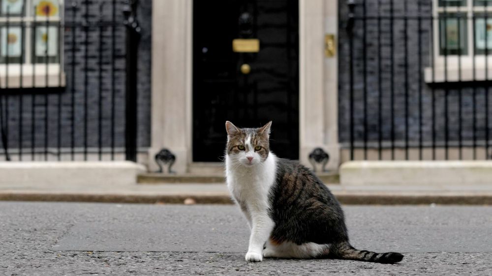 Ларри – официальный кот резиденции британского премьера на Даунинг-стрит. Он занимает почетный пост главного мышелова и служит правительству верой и правдой вот уже 10 лет.