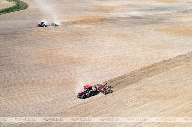 Belarusian farmers sowed winter grains on more than 94% of the area |  Economy