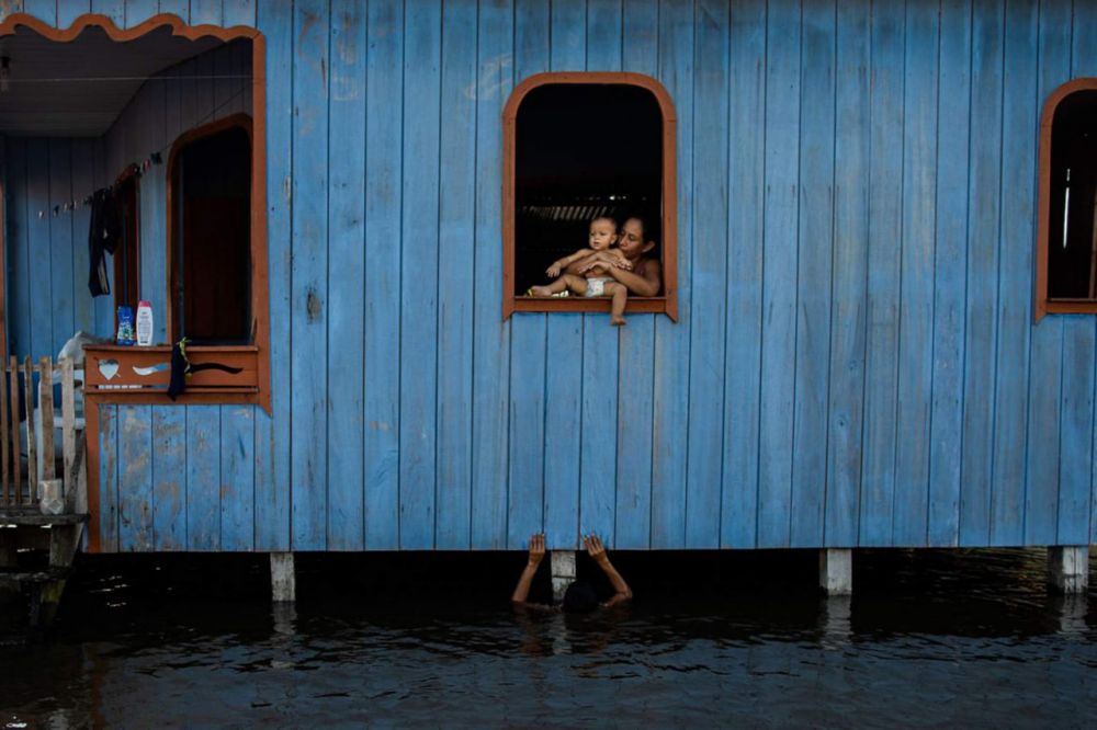 Фотограф Рафаэль Алвес возглавил категорию «Климат» со снимком «Застрявшие»: 33-летняя Эвридика Кастро держит своего племянника Отавио в окне, пока ее сын Акилес играет в поднимающихся реках в Анаме, Бразилия. 