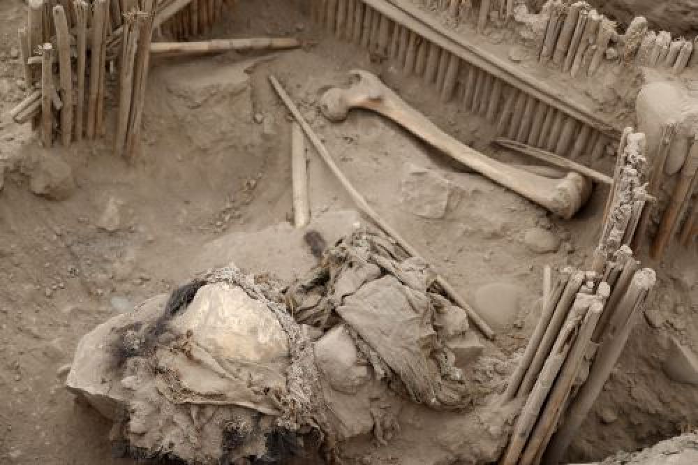 По словам перуанского археолога Луиса Такуда, останки покрыты виноградными лозами и принадлежат четырем детям и одному взрослому. 