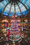 В самом сердце центра Галереи Лафайет (Париж, Франция) растет рождественское и новогоднее дерево. 