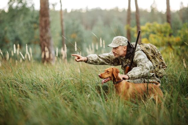 The hunting season for waterfowl and marsh game opens on August 10 | Society