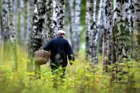 фото носит иллюстративный характер