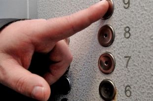 фото носит иллюстрационный характер
