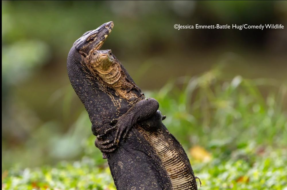 Джессика Эммет прислала кадр «Боевые объятия».