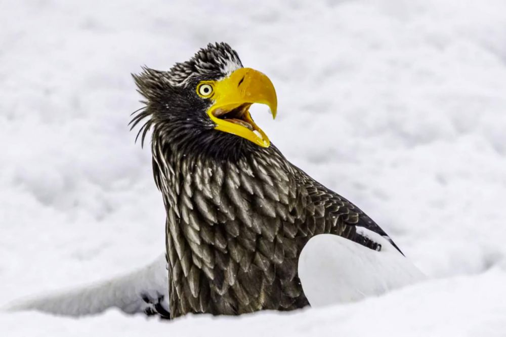 Анетт Кирби с работой «Уходи».