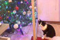 Чего только не придумают, чтобы испортить праздник и себе, и другим…