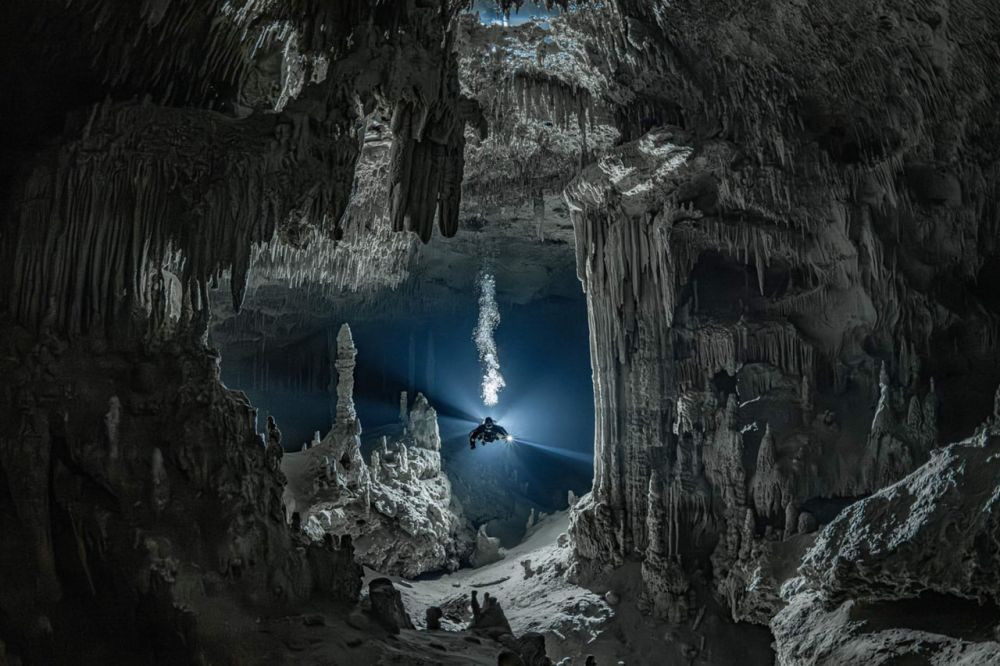 Джинни Ким заняла третье место в категории «Перспективный фотограф» с работой «Общее время». Кадр был снят в Тулуме (Мексика), в участке подводной пещерной системы Нохоч-На-Чич, известном как «Врата рая».