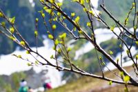 Лічылася, што сонечнае надвор'е ў гэты дзень абяцае багаты ўраджай.