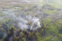 Снимок носит иллюстративный характер. 