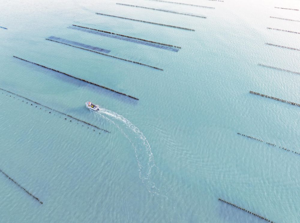 Пейзаж (2 место): Андреас Секки. С высоты дрона - бесконечные ряды устричных ферм на побережье Нормандии и Бретани (Франция).