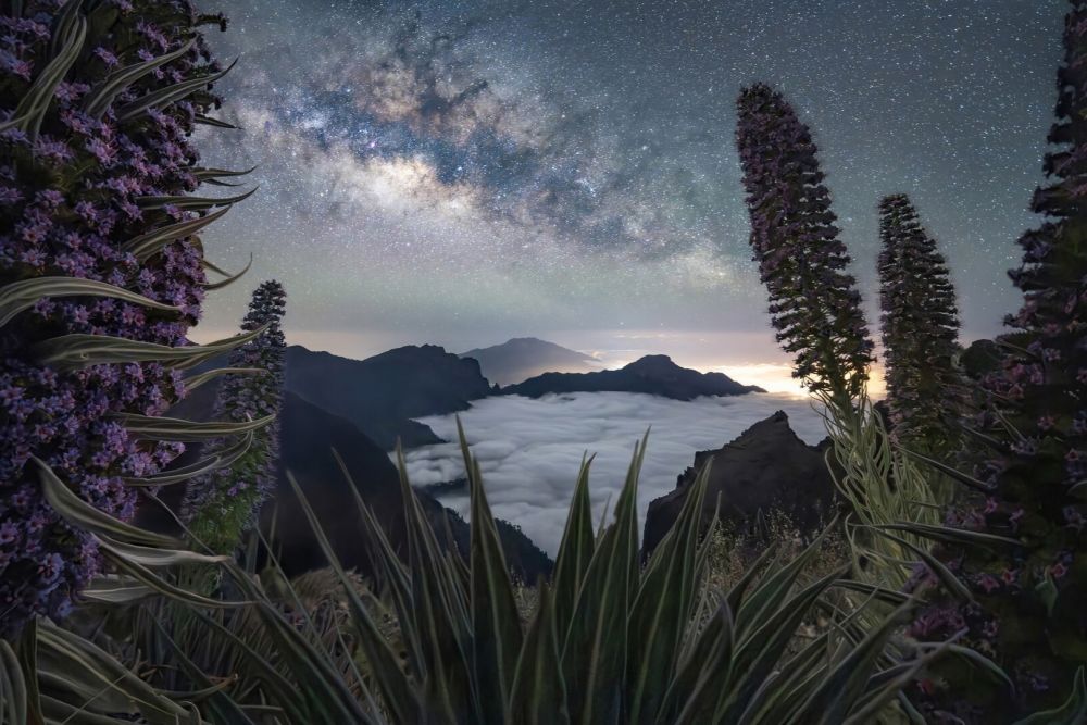 «Панорама Caldera Galaxy». С самой высокой точки вулканического острова, где царит абсолютная темнота, вдали от каких-либо источников света, открывается головокружительная панорама.